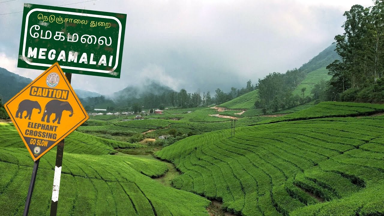 Tourism in Tamil Nadu | தமிழ்நாட்டில் உள்ள சுற்றுலா தளம்_150.1