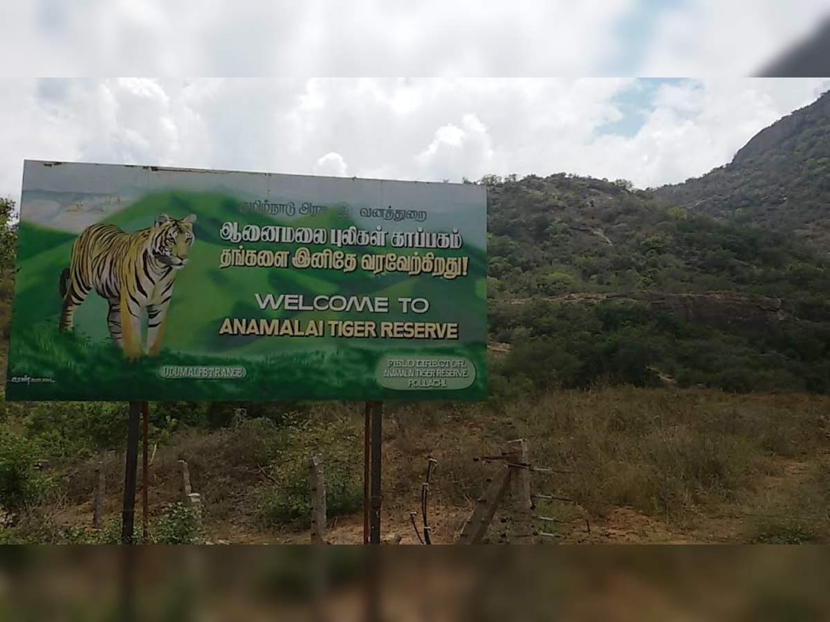 National Parks in Tamilnadu | தமிழ்நாட்டில் உள்ள தேசிய பூங்கா_70.1