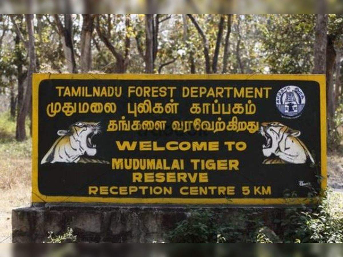 National Parks in Tamilnadu | தமிழ்நாட்டில் உள்ள தேசிய பூங்கா_80.1