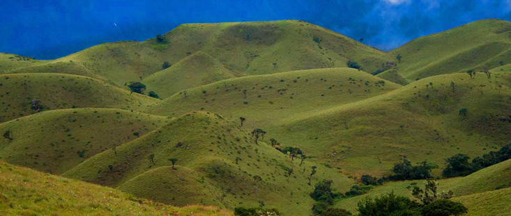 National Parks in Tamilnadu | தமிழ்நாட்டில் உள்ள தேசிய பூங்கா_90.1
