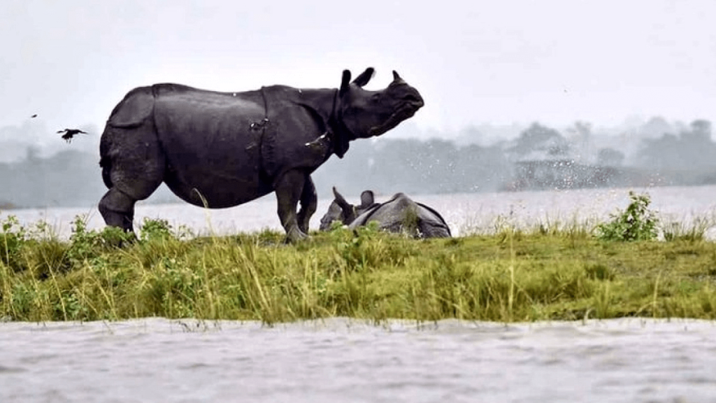 List of World Heritage Sites in India | இந்தியாவில் உள்ள உலக பாரம்பரிய தளங்களின் பட்டியல்_210.1