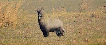 List of World Heritage Sites in India | இந்தியாவில் உள்ள உலக பாரம்பரிய தளங்களின் பட்டியல்_220.1