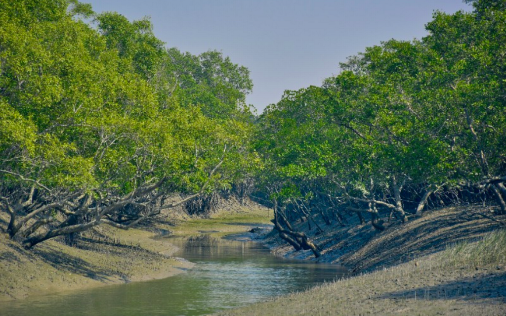 List of World Heritage Sites in India | இந்தியாவில் உள்ள உலக பாரம்பரிய தளங்களின் பட்டியல்_310.1