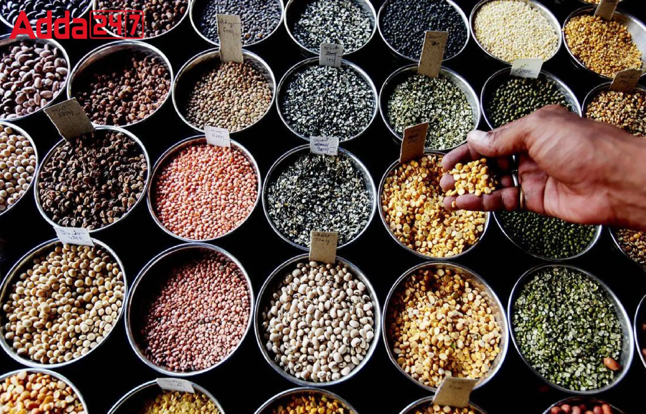 Daily Current Affairs in Tamil_13.1
