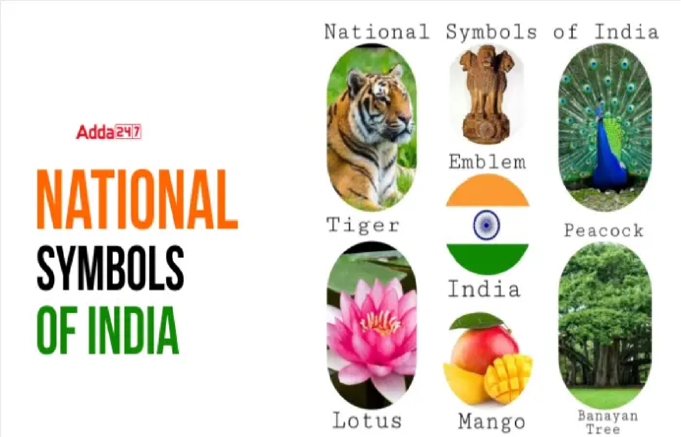 Daily Current Affairs in Tamil_27.1
