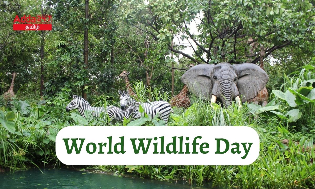 World Wildlife Day 2023