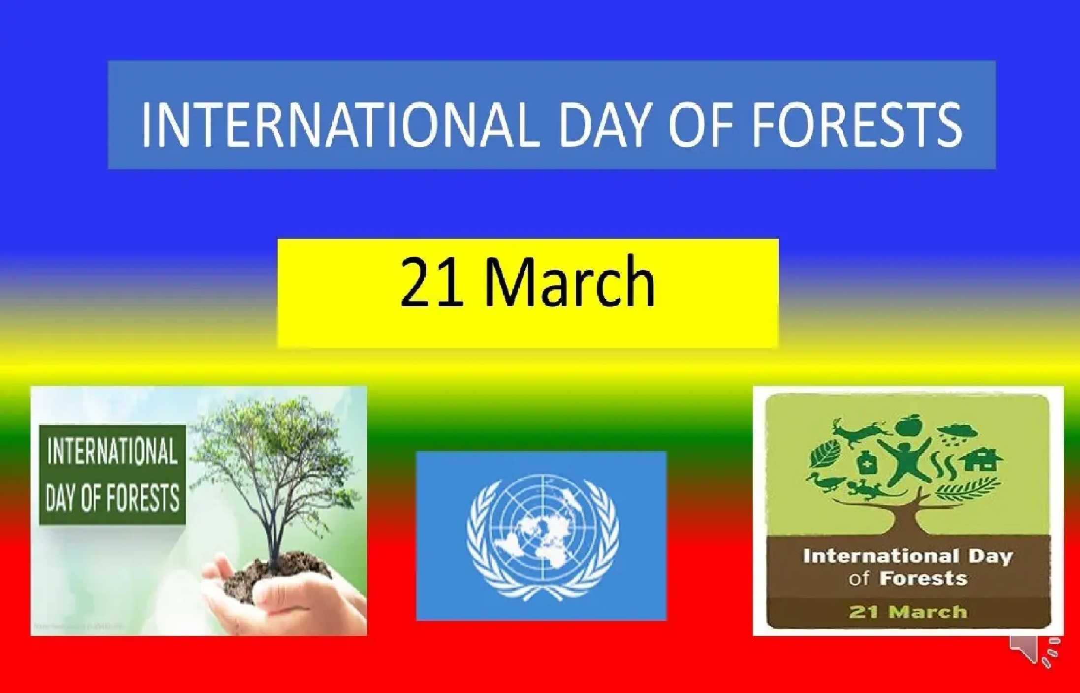 Daily Current Affairs in Tamil_13.1