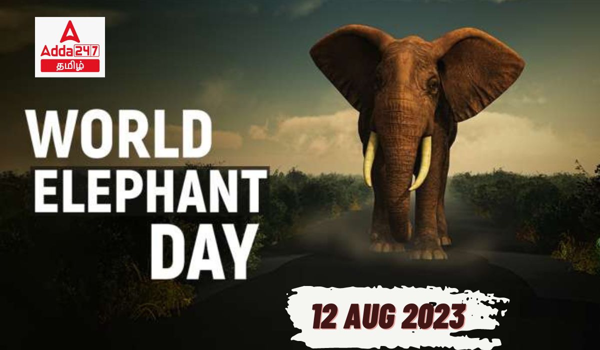 World Elephant Day 2023