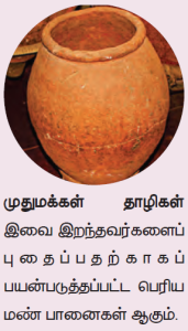 Megalithic in Tamil Nadu Part 3 in Adda247 Tamil | தமிழ்நாட்டின் பெருங்கற்காலம் பகுதி - 3 Adda247 தமிழில்_3.1
