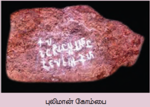 Megalithic in Tamil Nadu Part 3 in Adda247 Tamil | தமிழ்நாட்டின் பெருங்கற்காலம் பகுதி - 3 Adda247 தமிழில்_5.1