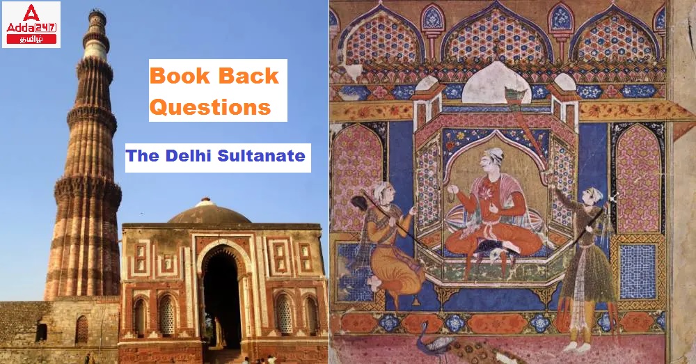 The Delhi Sultanate