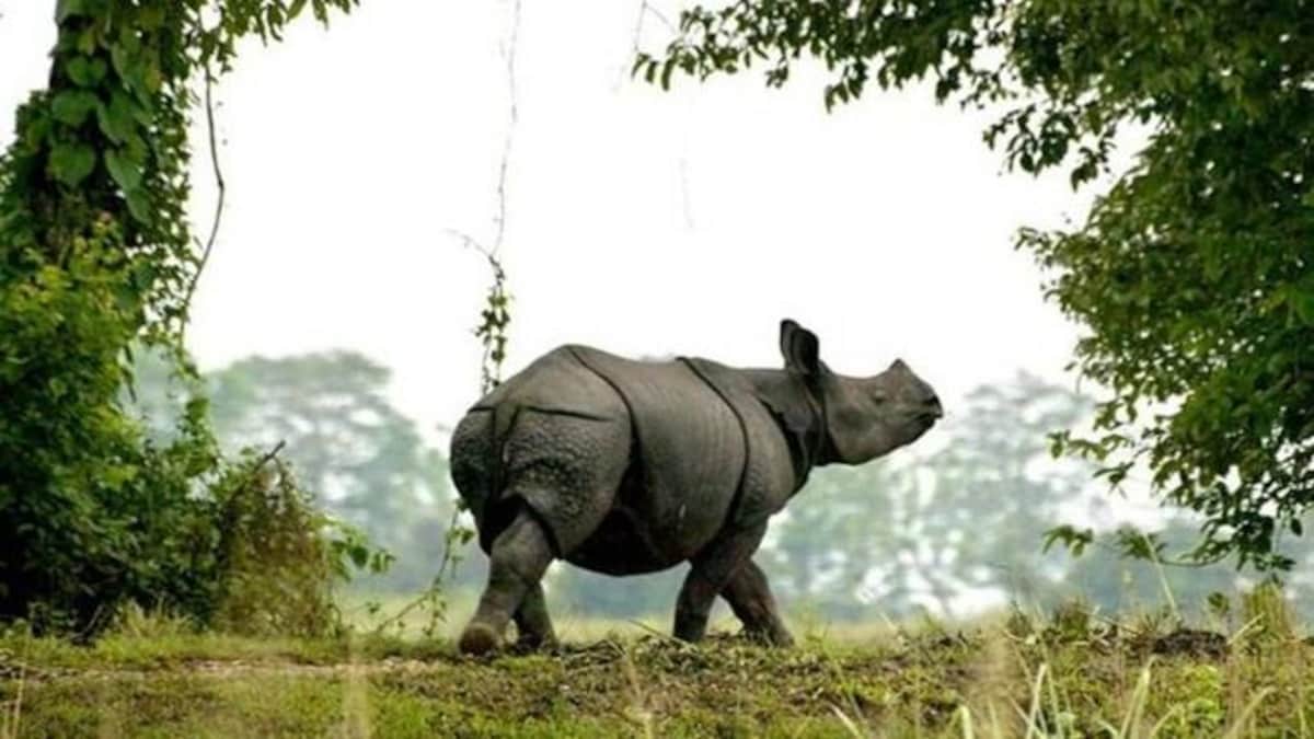 India’s first national park with satellite phones