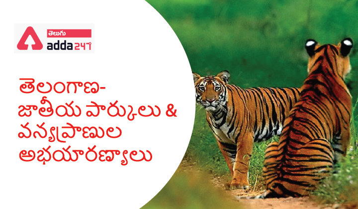 List of National Parks And Wildlife Sanctuaries in Telangana (తెలంగాణ- జాతీయ పార్కులు – వన్యప్రాణుల అభయారణ్యాల జాబితా) |_40.1