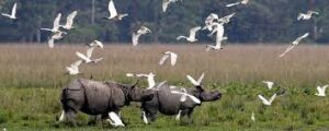 List of UNESCO World Heritage Sites in India For APPSC Group 4 And APPSC Endowment Officer, భారతదేశంలోని ప్రపంచ వారసత్వ ప్రదేశాలు Pdf |_120.1
