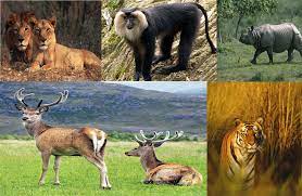 Biodiversity Hotspots in India,భారతదేశంలోని జీవవైవిధ్య హాట్‌స్పాట్‌లు Pdf |_140.1
