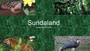 Biodiversity Hotspots in India 2023 in Telugu, Download PDF_8.1
