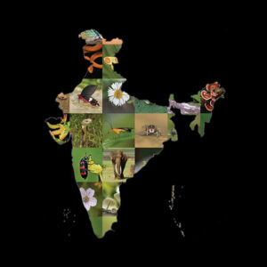 Biodiversity Hotspots in India,భారతదేశంలోని జీవవైవిధ్య హాట్‌స్పాట్‌లు Pdf |_60.1