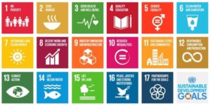 Sustainable Development Goals Report 2021 PDF |_40.1