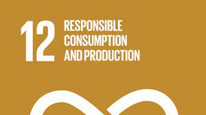 Sustainable Development Goals Report 2021 PDF |_160.1