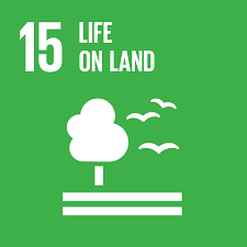 Sustainable Development Goals Report 2021 PDF |_190.1