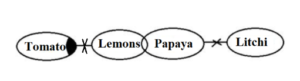 Reasoning MCQs Questions And Answers in Telugu 29 August 2022_10.1