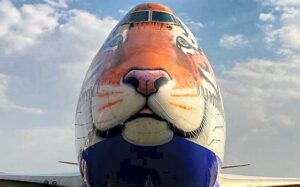 project-cheetah