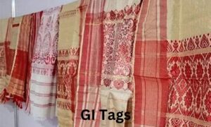 GI Tags