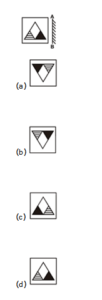 Reasoning MCQs Questions And Answers In Telugu_7.1