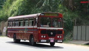 50 Buses