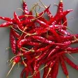 Teja variety of red chilli