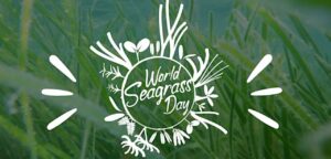 Sea Grass Day