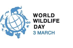 World Life Day