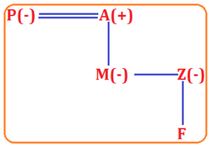 Reasoning MCQs Questions And Answers In Telugu 6 March 2023_5.1