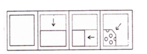 Reasoning MCQs Questions And Answers In Telugu 20 March 2023_7.1