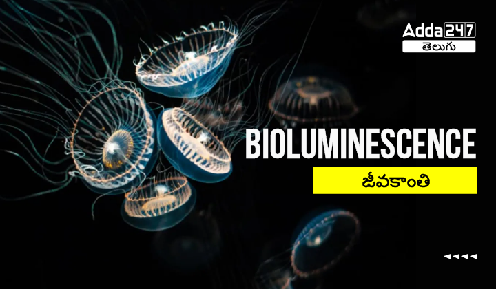 Bioluminescence