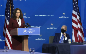 Neera-Tanden