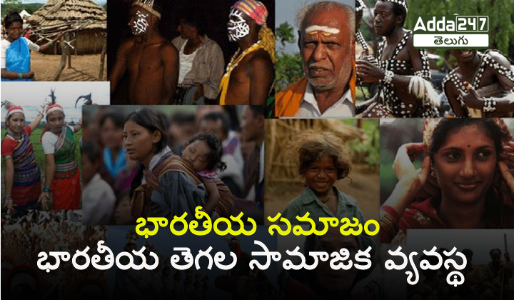 భారతీయ సమాజం - భారతీయ తెగల సామాజిక వ్యవస్థ 