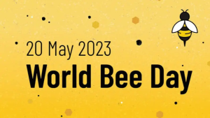 wbd23-web-button-en