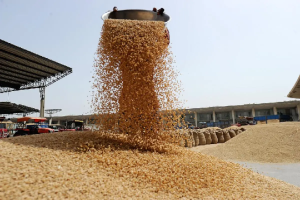 Centre Discontinues Sale of Rice and Wheat Under OMSS to State Govts to Check Price Rise