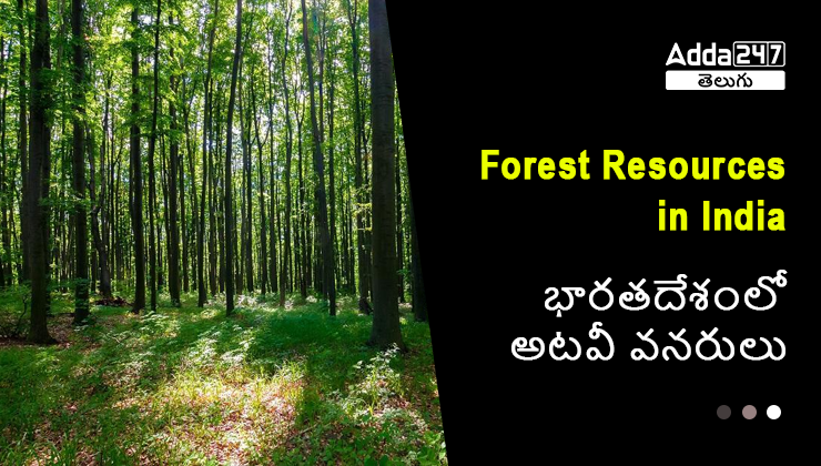 Forest Resources in India