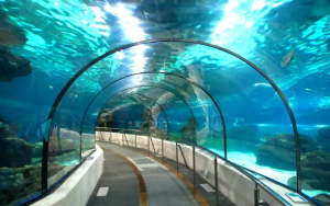 Assam-underwater-tunnel