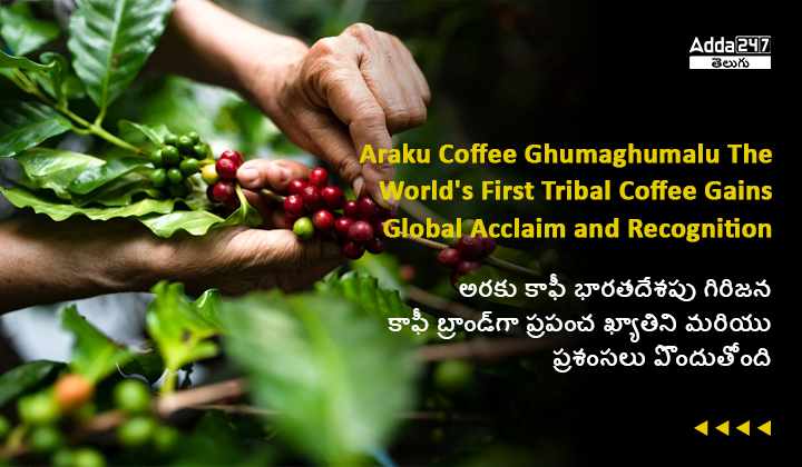 అరకు కాఫీ భారతదేశపు గిరిజన కాఫీ బ్రాండ్_గా ప్రపంచ ఖ్యాతిని మరియు ప్రశంసలు పొందుతోంది