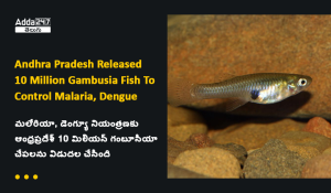 ontrol Malaria, Dengue
