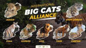 India launched international Big Cat Alliance for conserving 7 big cats