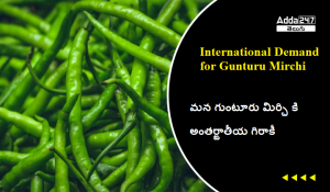 international demand for guntur mirchi