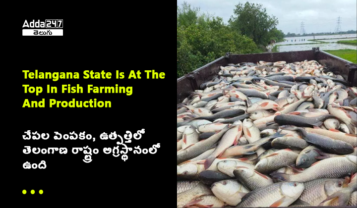 చేపల పెంపకం, ఉత్పత్తిలో తెలంగాణ రాష్ట్రం అగ్రస్థానంలో ఉంది