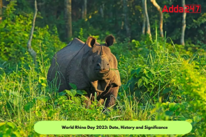 World Rhino Day 2023: Date, History and Significance 
