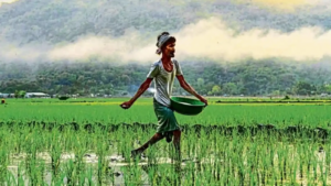 Centre approves 22,303 Crore ₹subsidy on Key fertilizers
