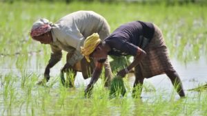 తెలుగులో డైలీ కరెంట్ అఫైర్స్ 20 నవంబర్ 2023_18.1