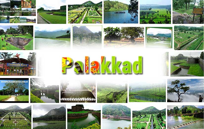 Which is the largest district in Kerala - Biggest District_5.1